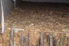 proizvodnja_oraha 040