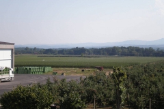 savremeni_vocnjaci013