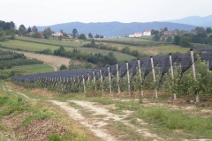 savremeni_vocnjaci021