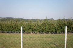 savremeni_vocnjaci022