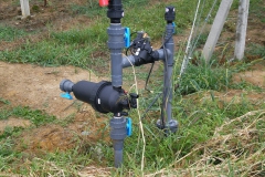 savremeni_vocnjaci043